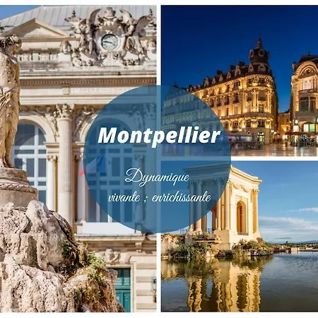 شقة La Tranquillite Des Flots *wifi * Carnon * Proche Montpellier موجيو